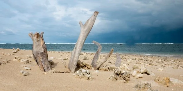 The Beach of Banda Aceh