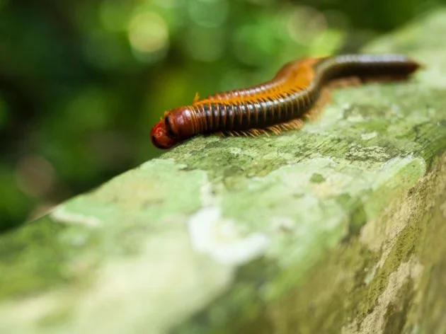 Bio. Gut für dich, gut für die Natur. So?