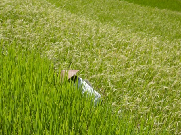 Die letzten Tage in Eden