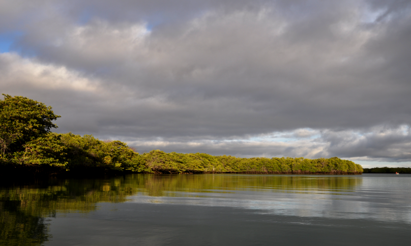 missia-silvia-fritzsche-galapagos_08