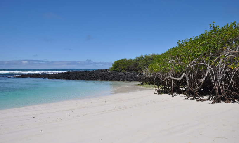 missia-silvia-fritzsche-galapagos_10