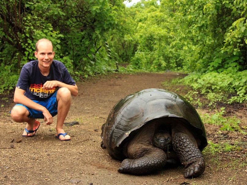 galapagos giant tortoise