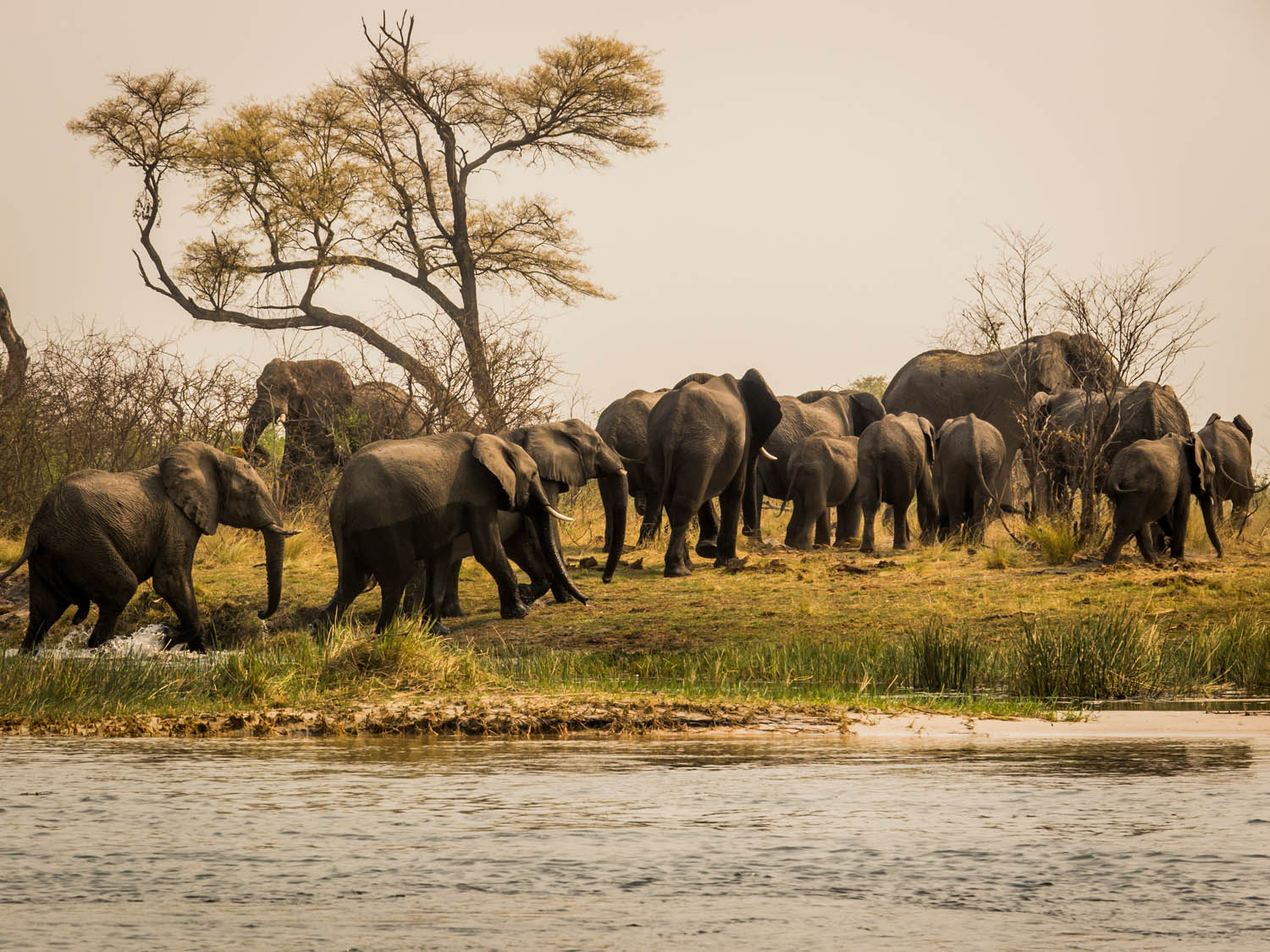 Namibia-Caprivi-Okawango-Zambesi-Kwango_02