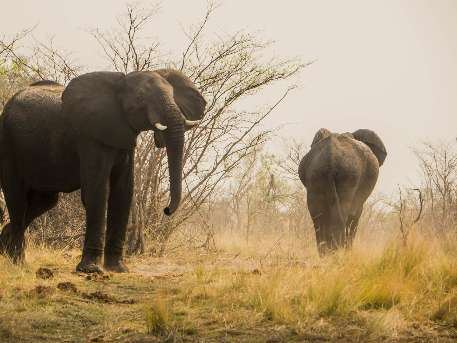 Namibia-Caprivi-Okawango-Zambesi-Kwango_03