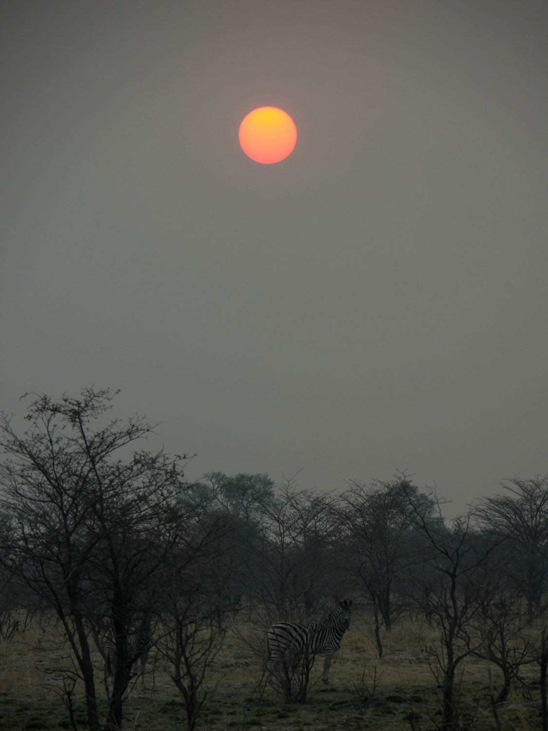 Namibia-Caprivi-Okawango-Zambesi-Kwango_04