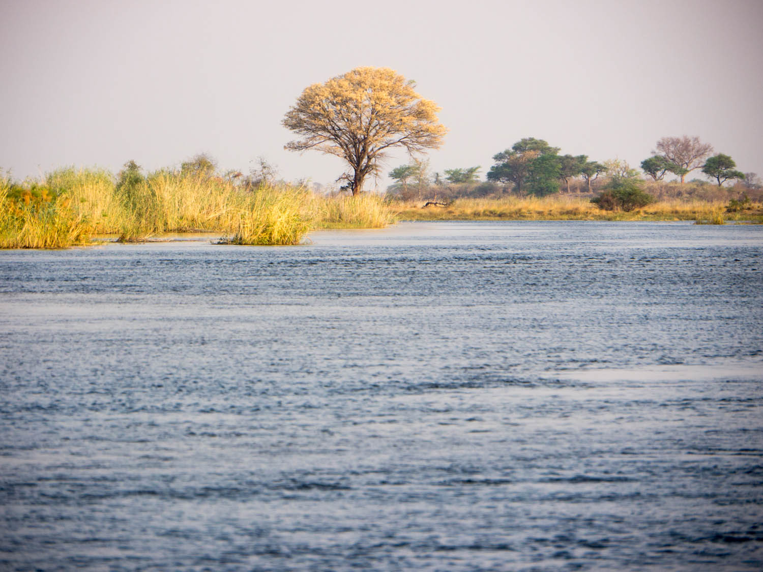 Namibia-Caprivi-Okawango-Zambesi-Kwango_10