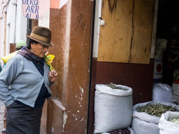 Quito: Koloniale Kirchen und köstliche Käfer