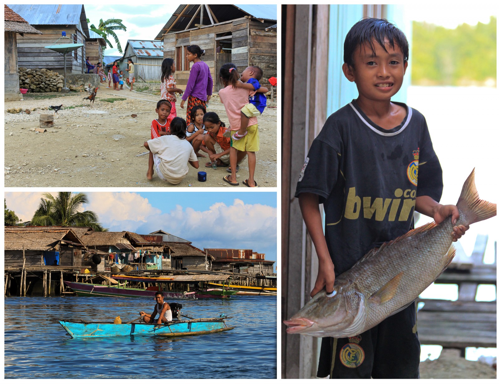 Bajau