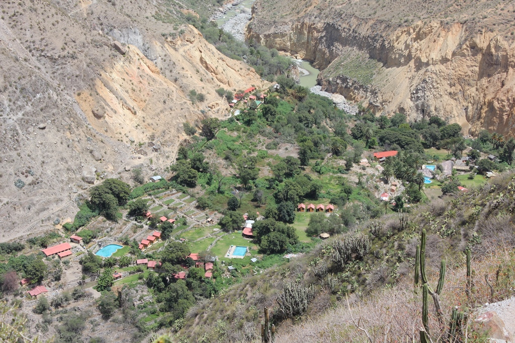 Colca_17