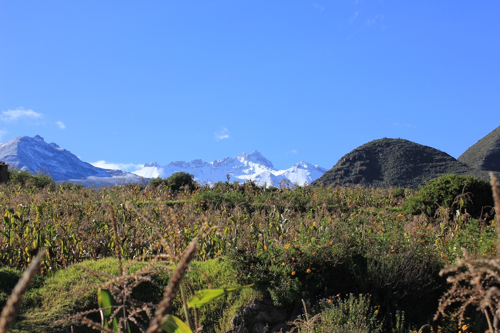 Colca_23