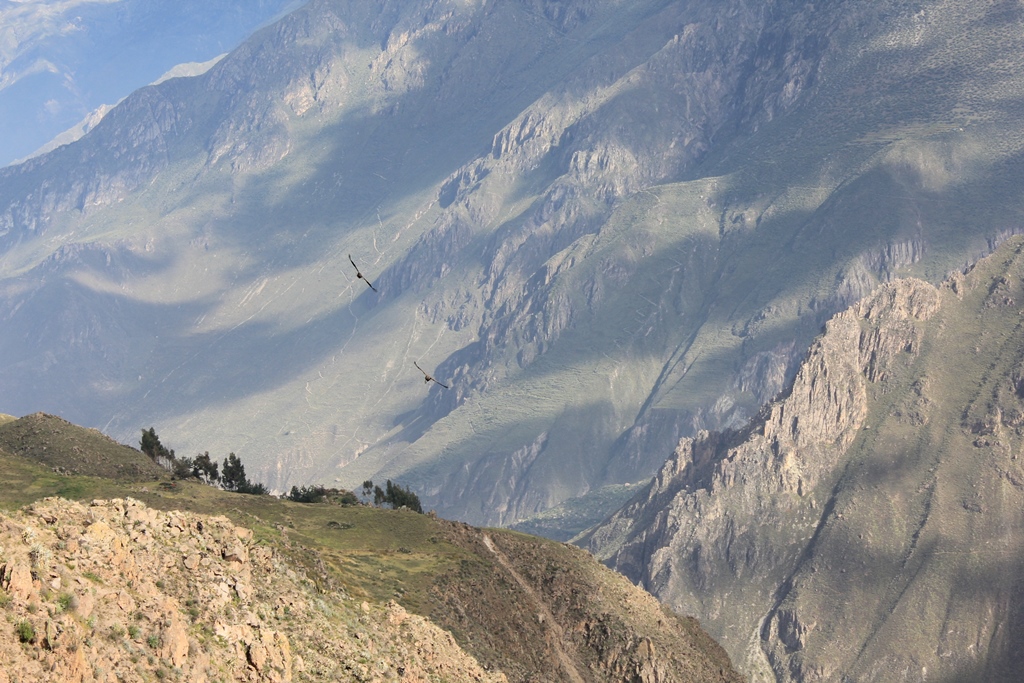 Colca_4