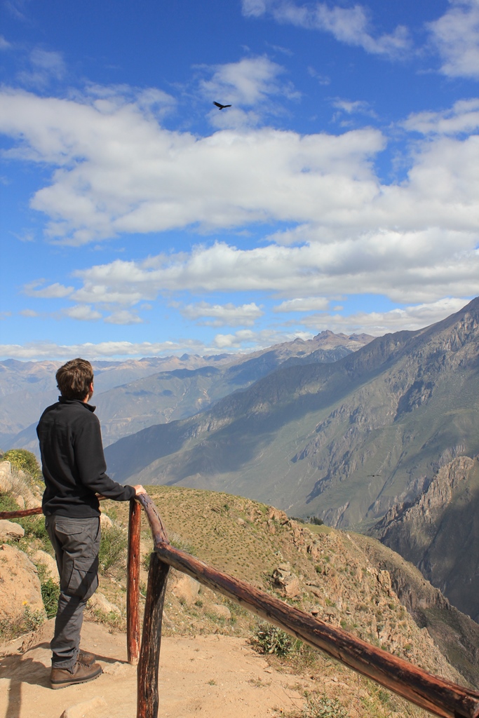 Colca_5