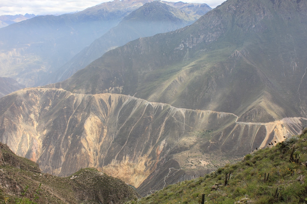 Colca_6