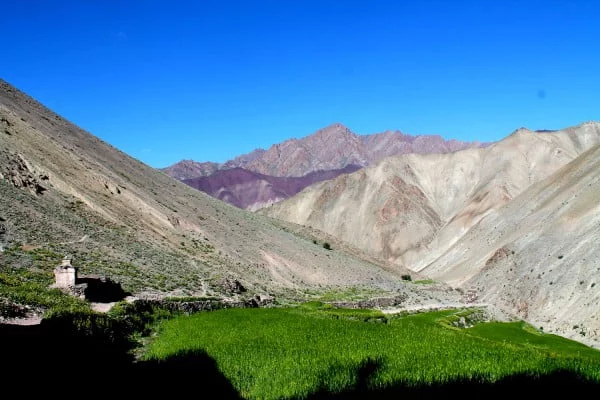 Der Markha-Treck in Ladakh