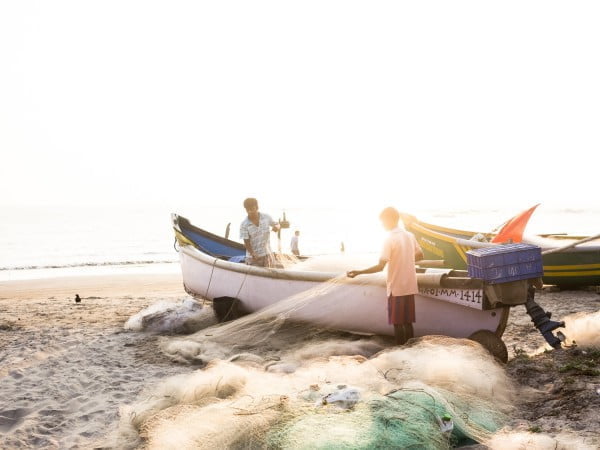 Zurück in Goa – Bilder aus Indien