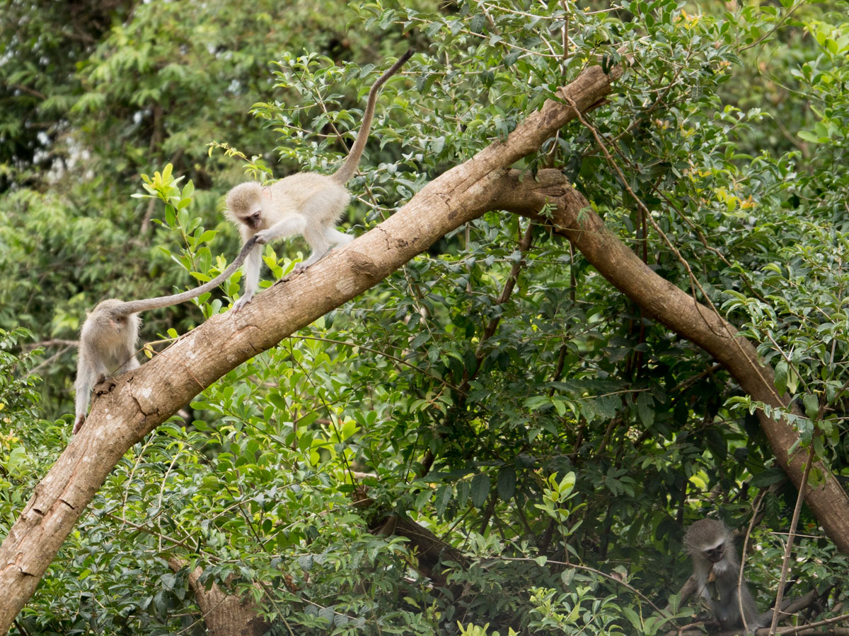 Suedafrika-Roadtrip_20150407_0908