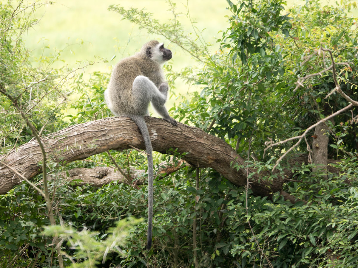 Suedafrika-Roadtrip_20150407_0931