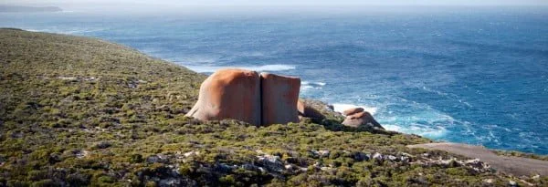 Kangaroo Island – die wilde Schönheit