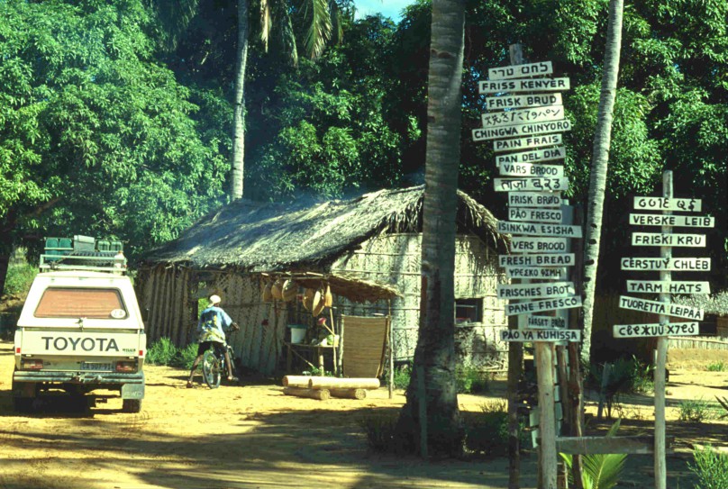 Safari-des Lebens-Mozambique