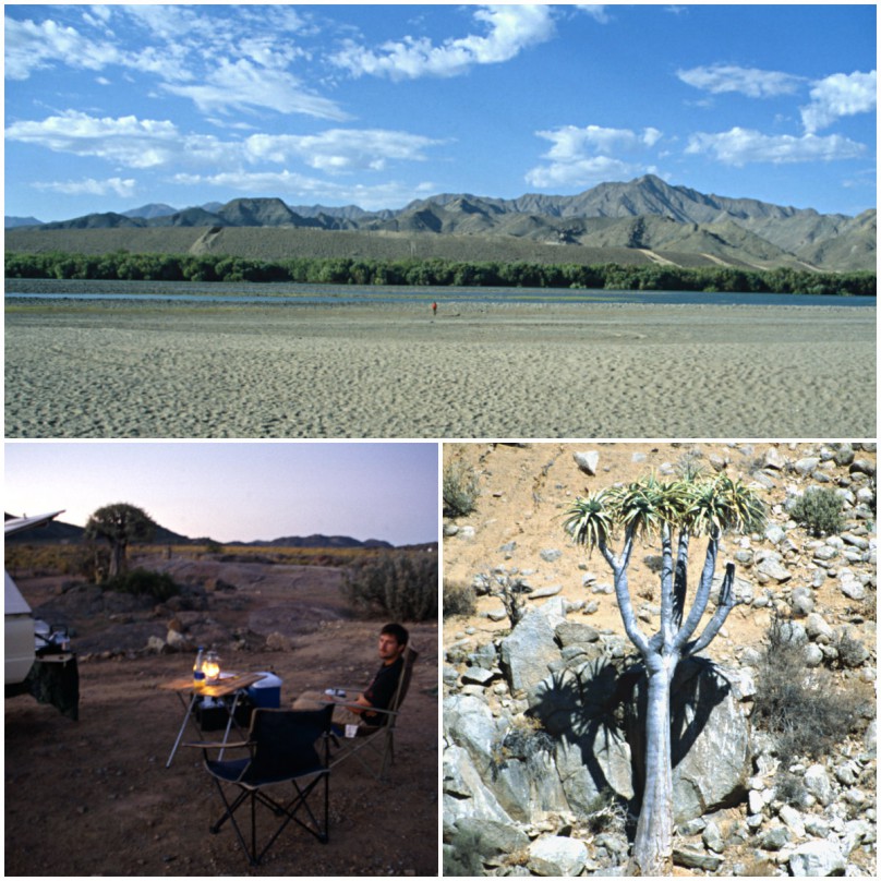 collage-Safari-des-Lebens