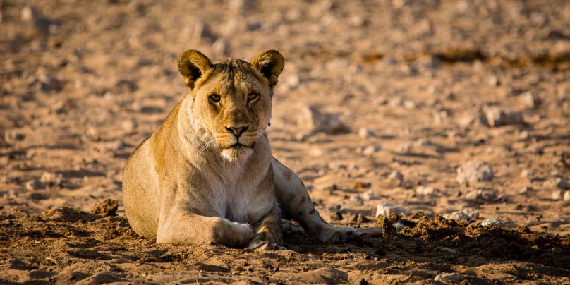 afrika-namibia-05