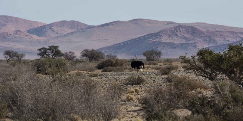 afrika-namibia-16