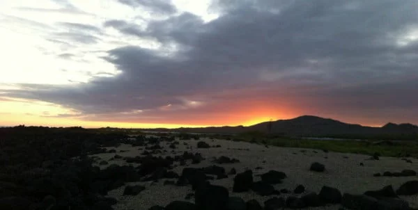 Allein auf Galapagos: Mein erster Hai