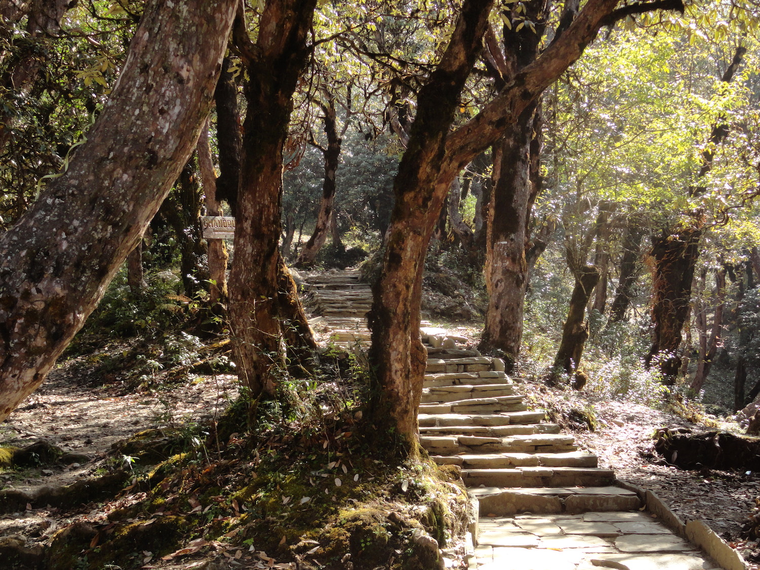 Pfad von Ghandruk nach Ghore Pani