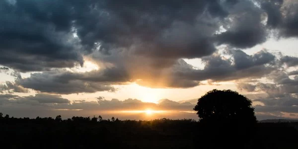 Ein Bett im Kornfeld oder so ähnlich