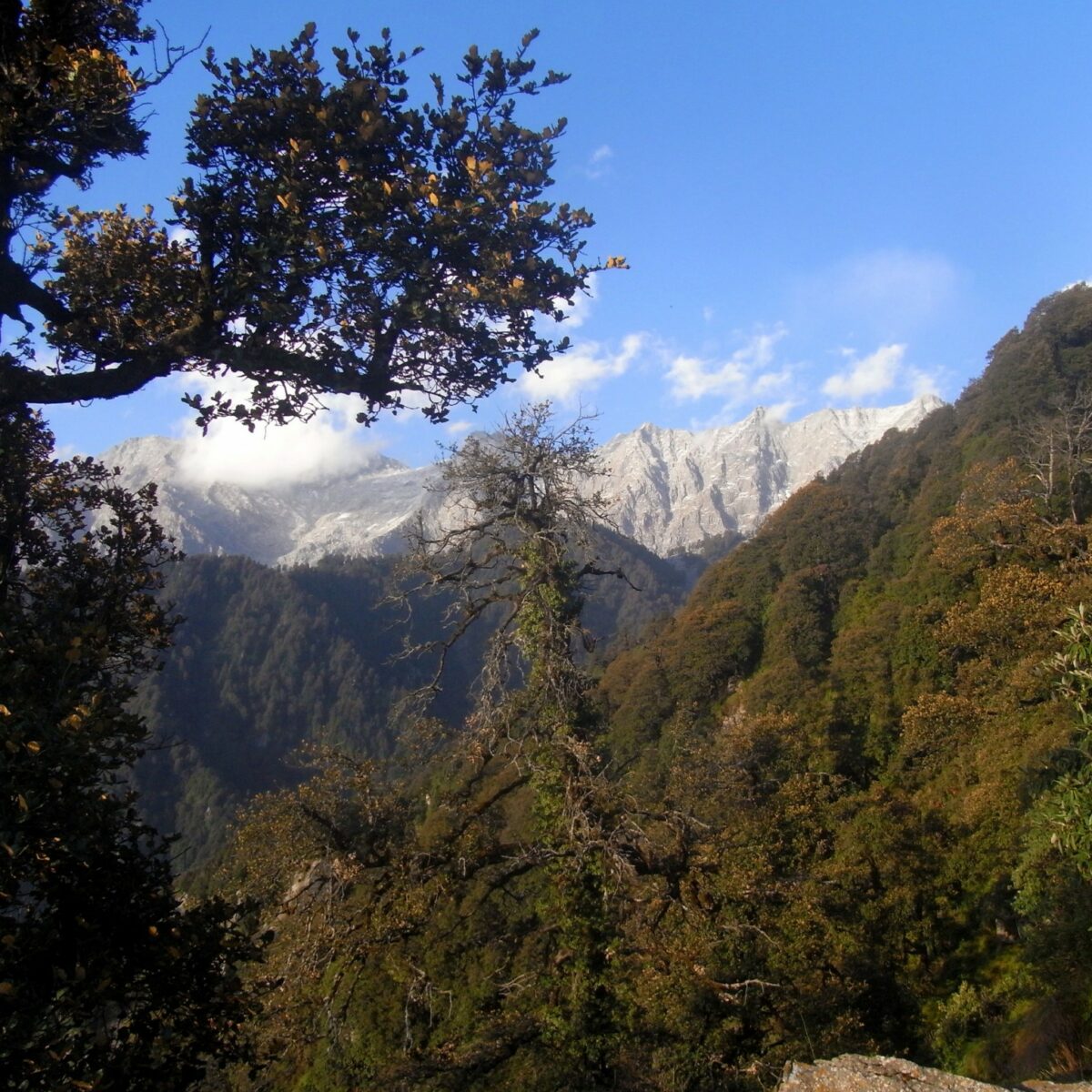 Dharamsala