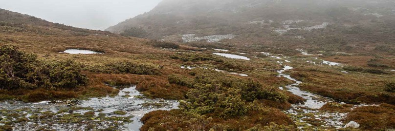 ausralien-tasmanien-overland-track-freistilchaot-06