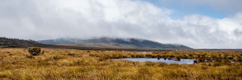 ausralien-tasmanien-overland-track-freistilchaot-15