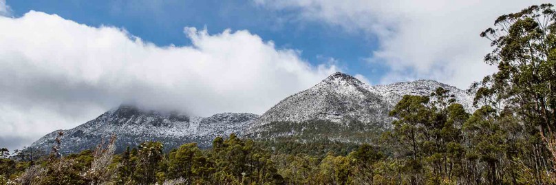 ausralien-tasmanien-overland-track-freistilchaot-23