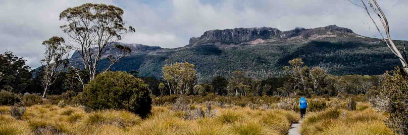 ausralien-tasmanien-overland-track-freistilchaot-31