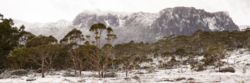 ausralien-tasmanien-overland-track-freistilchaot-35