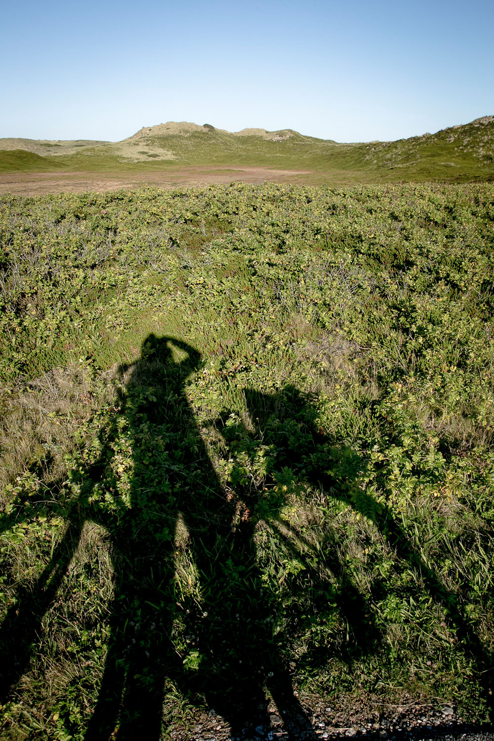 Bike_Schatten