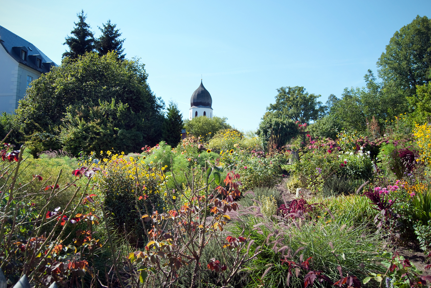 Chiemsee5