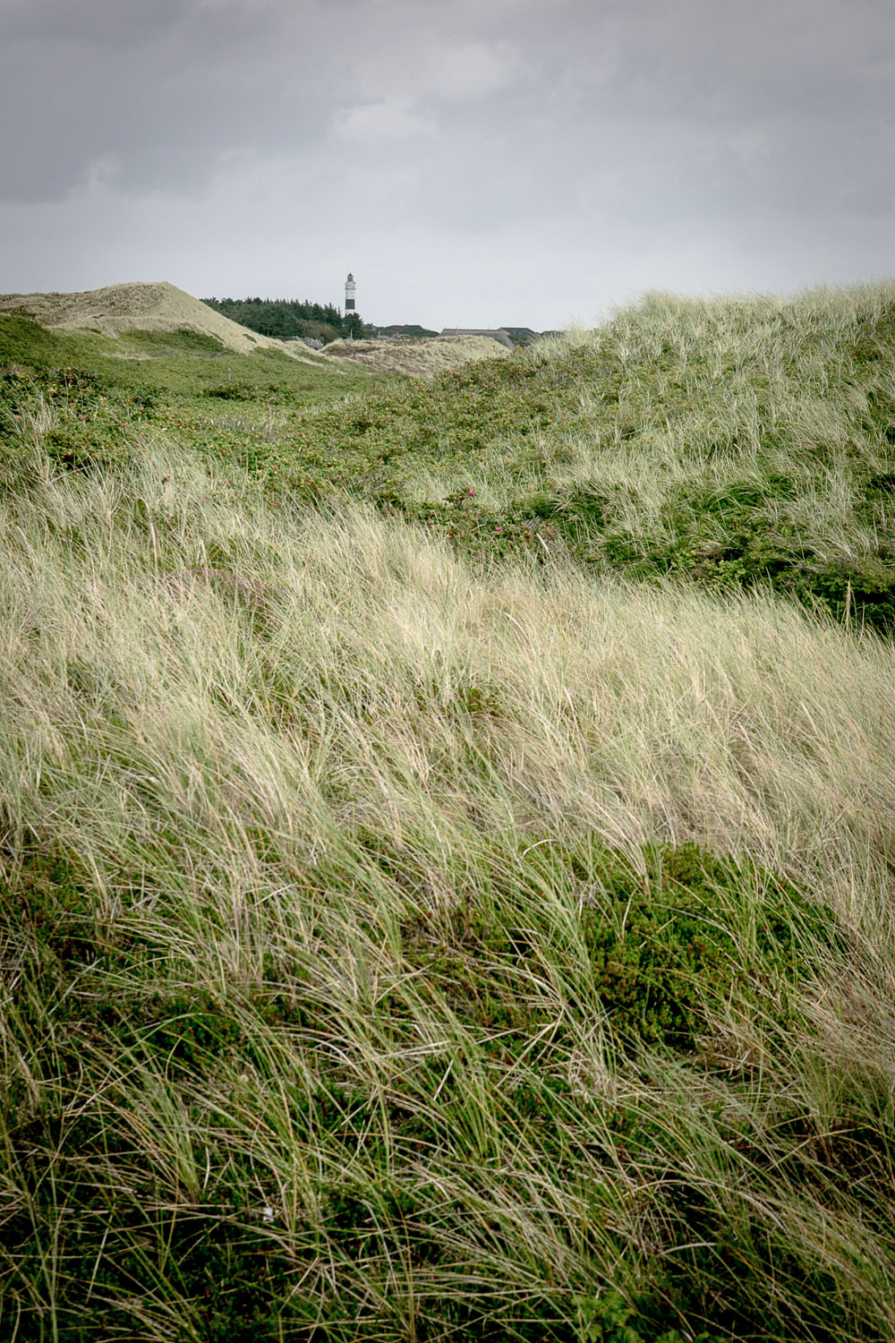 Kampen_Leuchtturm