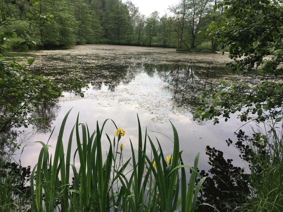 Weiher-Spessart