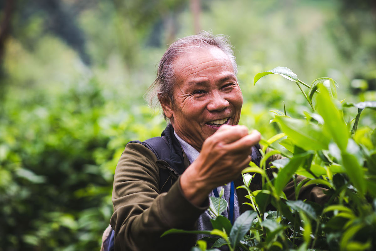 araksa-tee-chiang-mai