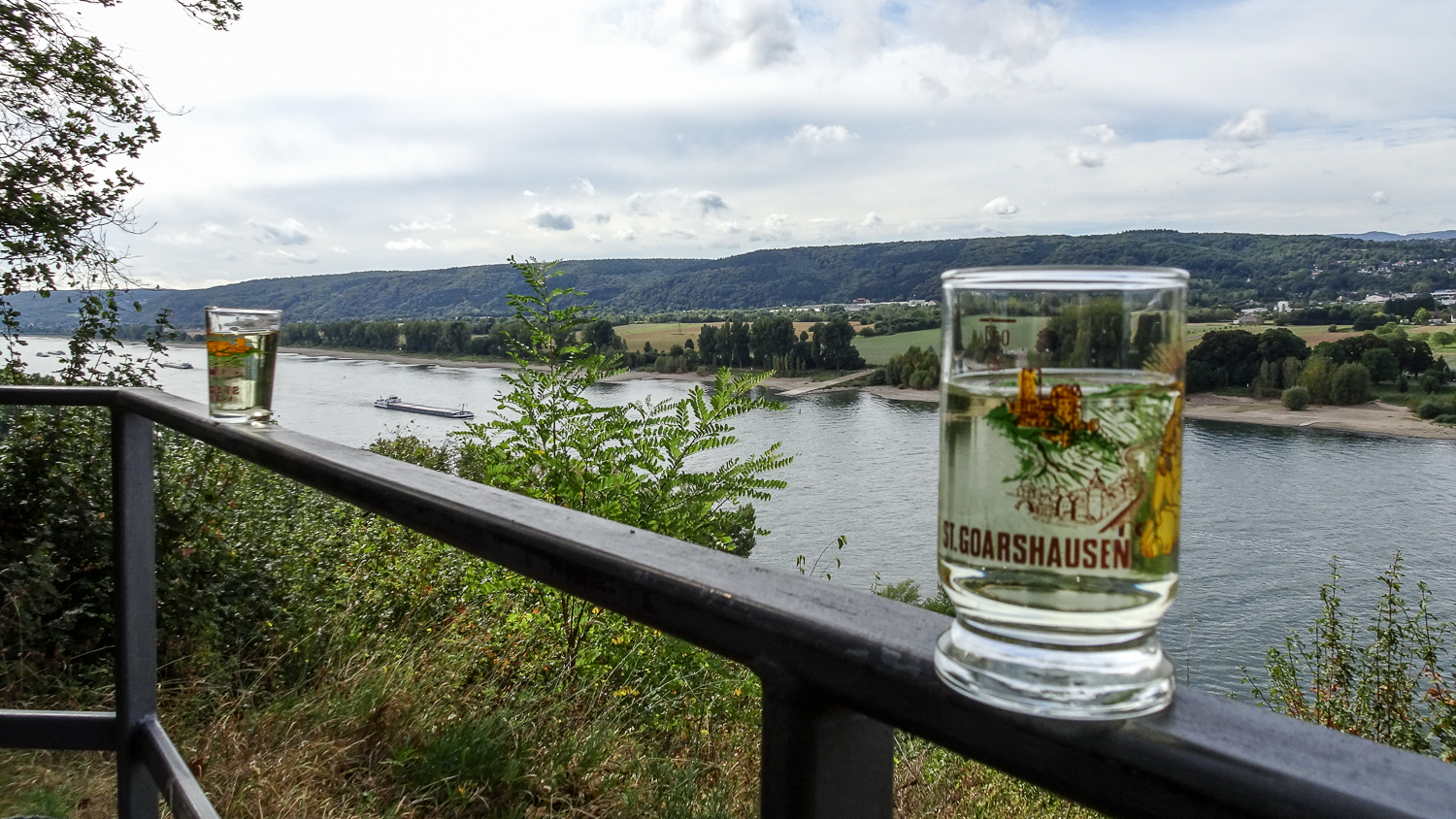 Wein am Rhein