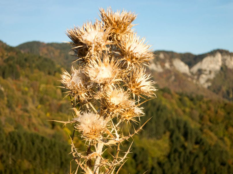 paranesti_griechenland_ultramarathon_wandern-12