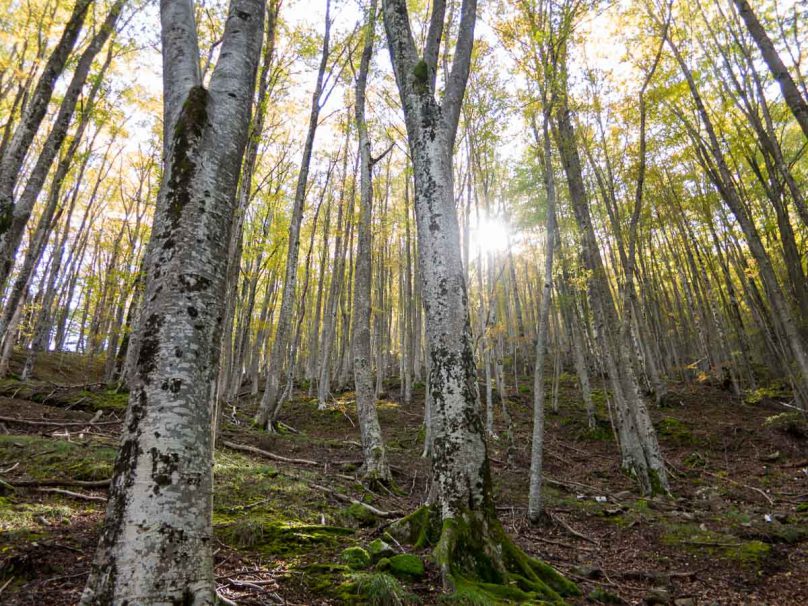 paranesti_griechenland_ultramarathon_wandern-6