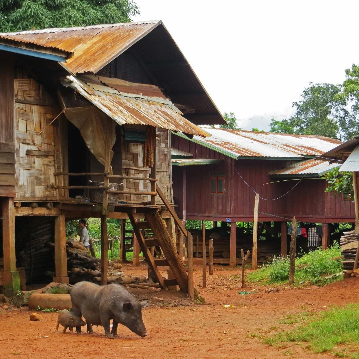 Opium für den Geist in Laos