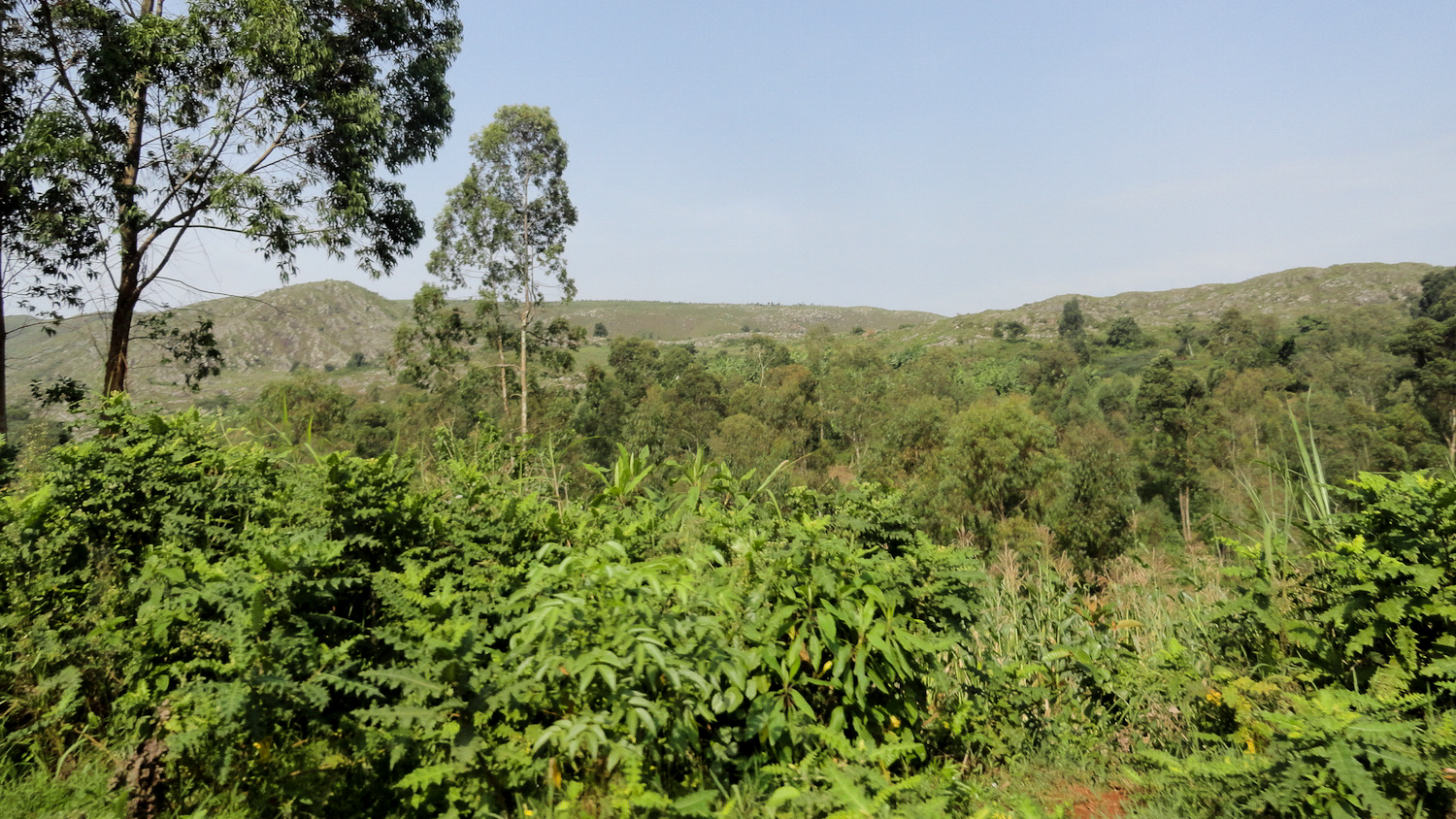 Burundis Berge in der Grenzregion zu Tansania