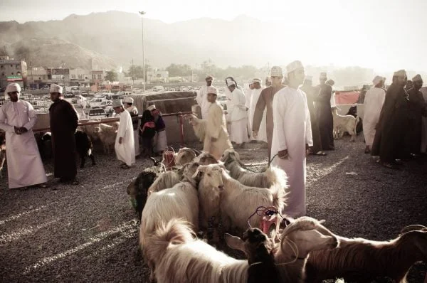 Ziegenmarkt in Oman