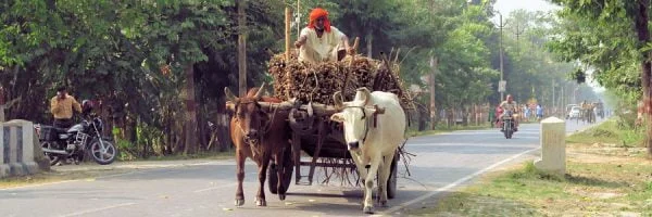 Gründe für extreme Armut in Indien