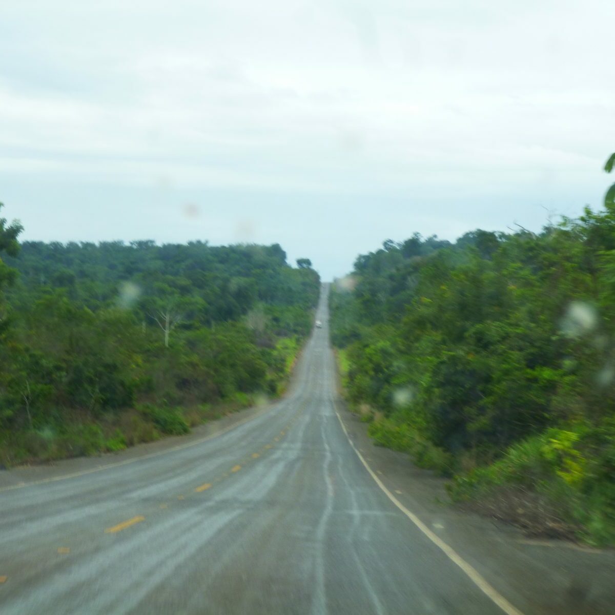 LKW Fahrt durch den Amazonas