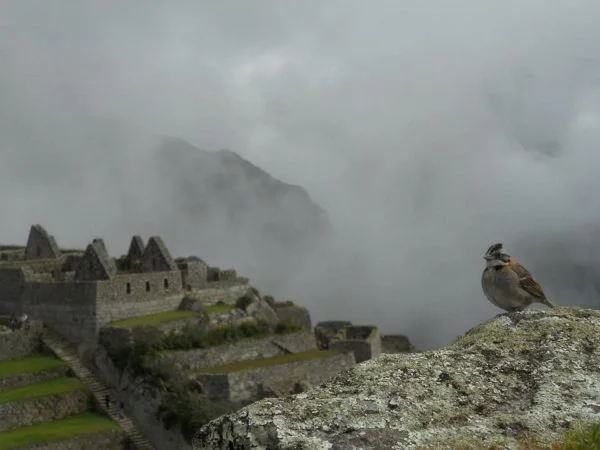 Machu Picchu – Verschollen in Wolken