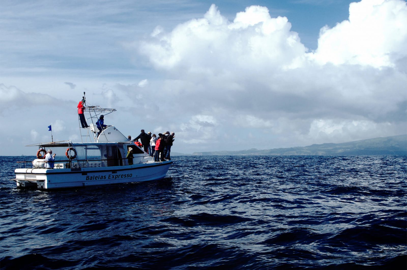 lumorgenstern-whale-watching-azoren16